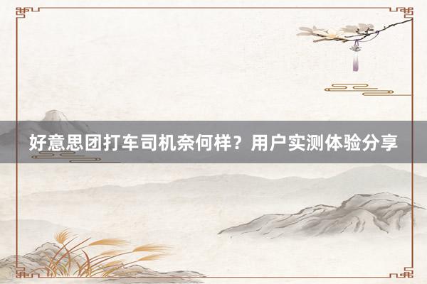 好意思团打车司机奈何样？用户实测体验分享