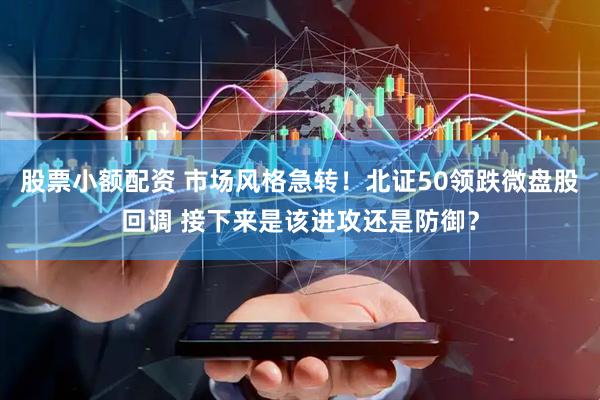 股票小额配资 市场风格急转！北证50领跌微盘股回调 接下来是该进攻还是防御？