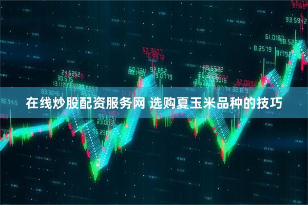 在线炒股配资服务网 选购夏玉米品种的技巧