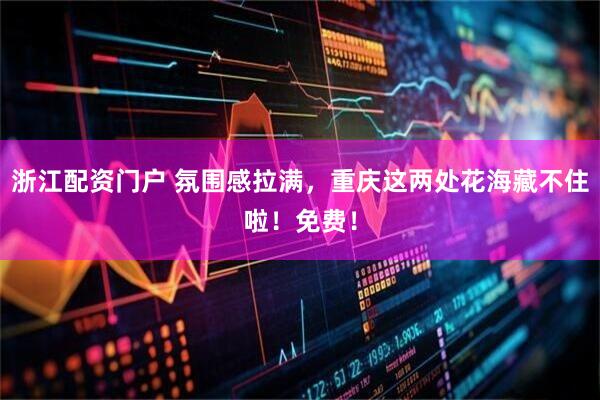浙江配资门户 氛围感拉满，重庆这两处花海藏不住啦！免费！