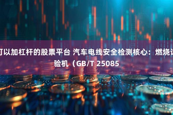 可以加杠杆的股票平台 汽车电线安全检测核心：燃烧试验机（GB/T 25085