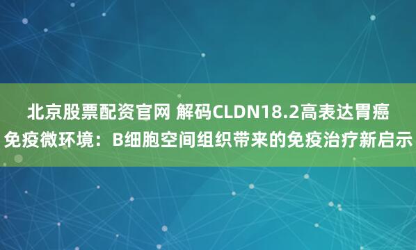 北京股票配资官网 解码CLDN18.2高表达胃癌免疫微环境：B细胞空间组织带来的免疫治疗新启示